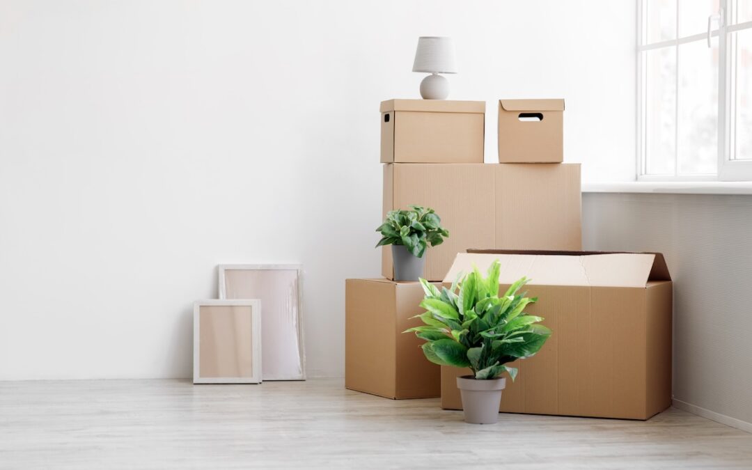 Q&A with the Senior Moving Masters